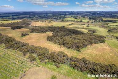 Farm Sold - SA - Hope Forest - 5172 - A Captivating Lifestyle on 60.51HA / 149.52acres  (Image 2)
