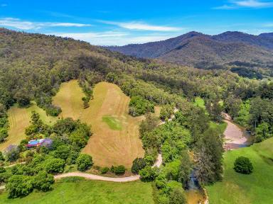 Farm Sold - NSW - Buckra Bendinni - 2449 - What a rare chance to acquire!  (Image 2)