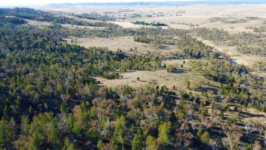 Farm For Sale - NSW - Cooma - 2630 - Massive Potential
Lot 9 DP 255743  Lot 52 DP 737382 and Lot 145 DP 750524  (Image 2)