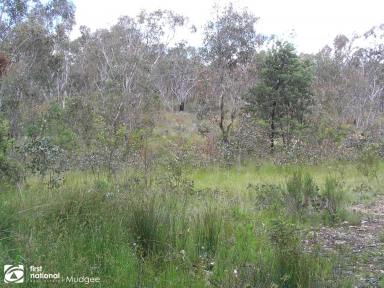 Farm Sold - NSW - Hill End - 2850 - PERFECT RURAL GETAWAY  (Image 2)
