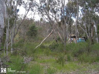 Farm Sold - NSW - Hill End - 2850 - PERFECT RURAL GETAWAY  (Image 2)