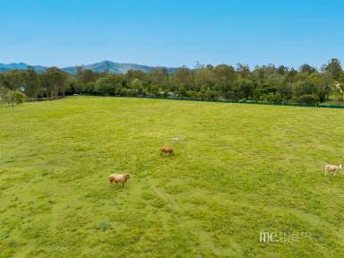 Farm Sold - QLD - Camp Mountain - 4520 - Land only - 5 Acres  (Image 2)