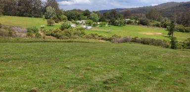Farm For Sale - NSW - Billys Creek - 2453 - Opportunity to be totally of Grid and fully self sufficient.  (Image 2)