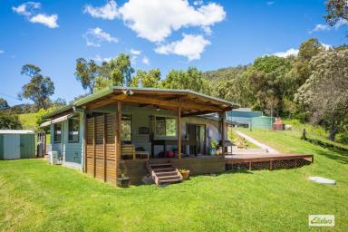 Farm Sold - NSW - Brogo - 2550 - ESCAPE PEACEFULLY TO THIS COSY COTTAGE IN BROGO  (Image 2)