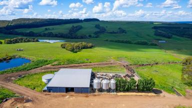 Farm Sold - VIC - Simpson - 3266 - "DELLYN" PICTURESQUE & HIGHLY PRODUCTIVE DAIRY FARM  (Image 2)