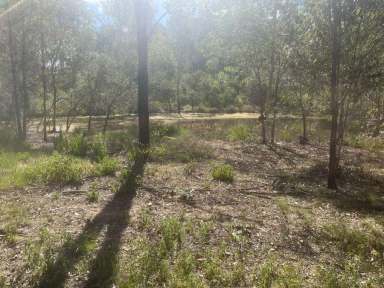 Farm Sold - QLD - Curra - 4570 - LIFESTYLE/ HOBBY FARM/ INVESTORS  (Image 2)