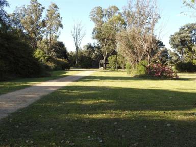 Farm Auction - QLD - Darr Creek - 4413 - Noted Fattening and Backgrounding Country  (Image 2)