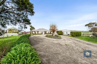 Farm Sold - VIC - Cororooke - 3254 - Gaze out at the countryside from all angles...  (Image 2)