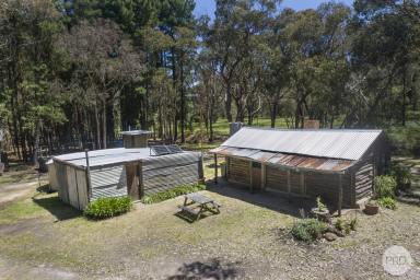 Farm Sold - VIC - Carngham - 3351 - Log Cabin Set In A Natural Bush Setting  (Image 2)