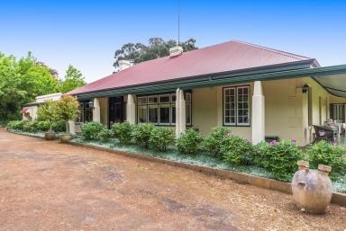 Farm Sold - WA - Bridgetown - 6255 - ONCE IN A GENERATION OPPORTUNITY!  (Image 2)