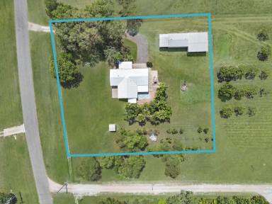 Farm For Sale - QLD - Alligator Creek - 4816 - Family Home, massive sheds, pool and pizza oven on acreage in Alligator Creek  (Image 2)