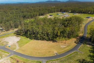 Farm Sold - NSW - Verges Creek - 2440 - EAST EDGE BEAUTY!  (Image 2)