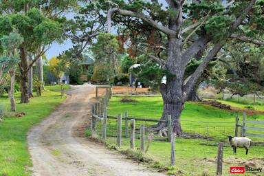 Farm For Sale - VIC - Wild Dog Valley - 3953 - Your Private Self-Sufficient Lifestyle Awaits..  (Image 2)
