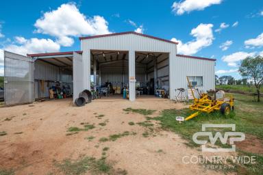 Farm For Sale - NSW - Bingara - 2404 - Highway Frontage Industrial Land With Great Shed  (Image 2)