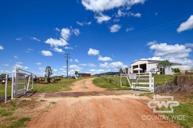 Farm For Sale - NSW - Bingara - 2404 - Highway Frontage Industrial Land With Great Shed  (Image 2)