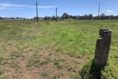 Farm Sold - WA - Waterloo - 6228 - Lot 430 Railway Road, Waterloo approx. 17 ha (42 acres)  (Image 2)