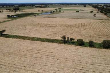 Farm Sold - WA - Waterloo - 6228 - Lot 423 Wireless Road 47 ha (116 acres)  (Image 2)