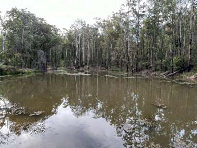 Farm Sold - NSW - Millbank - 2440 - Private Getaway Bush Block  (Image 2)