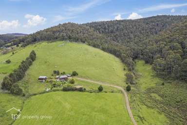 Farm Sold - TAS - Glen Huon - 7109 - An Artists Retreat  (Image 2)