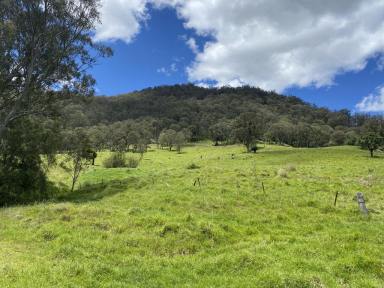 Farm Sold - nsw - Stewarts Brook - 2337 - Escape to the Country  (Image 2)