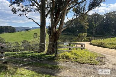 Farm Sold - VIC - Madalya - 3971 - AFFORDABLE GRAZING COUNTRY WITH HUGE POTENTIAL  (Image 2)