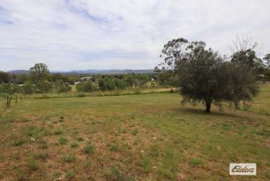 Farm Sold - QLD - Laidley - 4341 - Rare 2 Acres in a Prime Position  (Image 2)