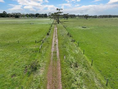 Farm Sold - VIC - Ecklin South - 3265 - ATTRACTIVE PRODUCTIVE COBDEN DISTRICT LAND  (Image 2)
