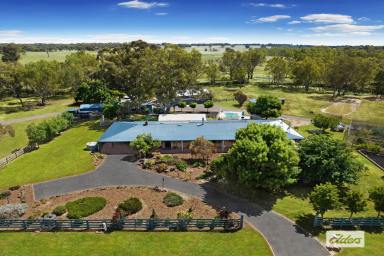 Farm Sold - VIC - Eppalock - 3551 - SPACIOUS CHARACTER FILLED MUDBRICK HOMESTEAD ON 22 BEAUTIFUL ACRES  (Image 2)