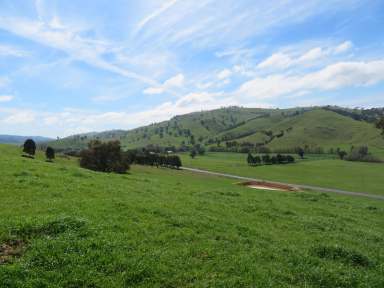 Farm Sold - NSW - Gundagai - 2722 - Rural block, just minutes from town  (Image 2)