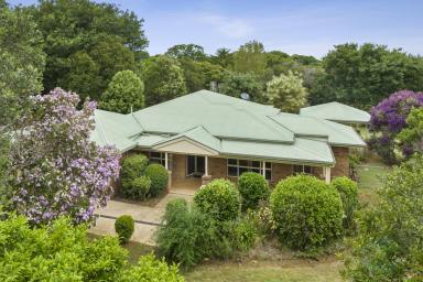 Farm Sold - QLD - Flaxton - 4560 - SOLD BY BRANT AND BERNHARDT PROPERTY!  (Image 2)
