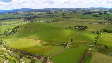 Farm Sold - NSW - Dorrigo - 2453 - The Ideal Lifestyle Property: Usable, Productive, Private, a Quality Home & Close to Town in One of the Most Tightly Held Areas of the Dorrigo Plateau  (Image 2)