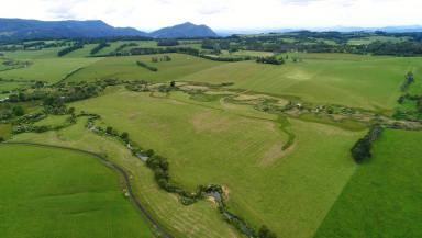 Farm Sold - NSW - Dorrigo - 2453 - The Ideal Lifestyle Property: Usable, Productive, Private, a Quality Home & Close to Town in One of the Most Tightly Held Areas of the Dorrigo Plateau  (Image 2)