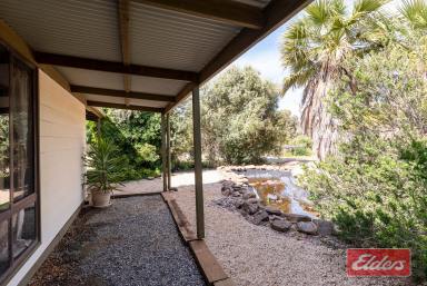 Farm Sold - SA - Roseworthy - 5371 - UNDER CONTRACT BY JEFF LIND  (Image 2)