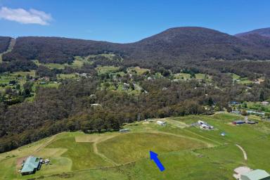 Farm Sold - TAS - Collinsvale - 7012 - Rural Living with Magical Views  (Image 2)