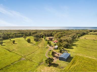 Farm Sold - NSW - Mitchells Island - 2430 - COUNTRY AND THE OCEAN  (Image 2)