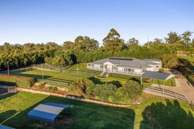 Farm Sold - QLD - Blue Mountain Heights - 4350 - Palatial family home on an elevated, private allotment packed with features  (Image 2)