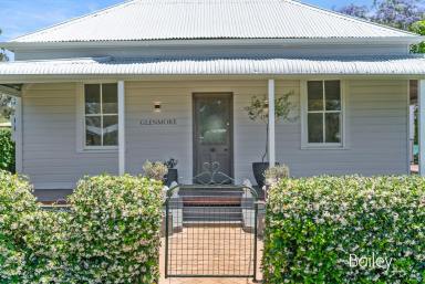 Farm Sold - NSW - Jerrys Plains - 2330 - Immaculate small acreage | 2 Acres  (Image 2)