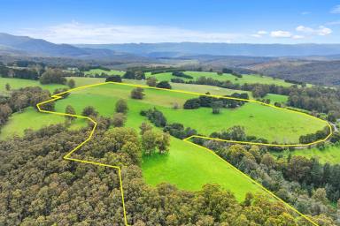 Farm Sold - VIC - Icy Creek - 3833 - Captivating Home, Scenic Setting  (Image 2)