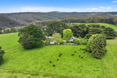 Farm Sold - VIC - Icy Creek - 3833 - Captivating Home, Scenic Setting  (Image 2)
