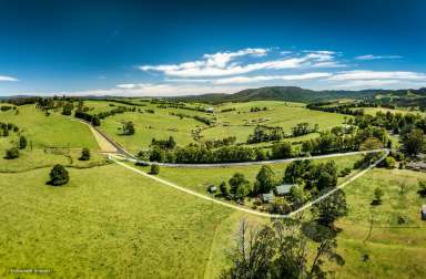 Farm Sold - NSW - Dorrigo - 2453 - "Bromley" Edge of Town Acreage  (Image 2)