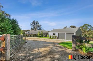 Farm Sold - NSW - Moruya - 2537 - PICTURESQUE & PRIVATE ACRES IN MORUYA  (Image 2)