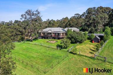 Farm Sold - NSW - Moruya - 2537 - PICTURESQUE & PRIVATE ACRES IN MORUYA  (Image 2)