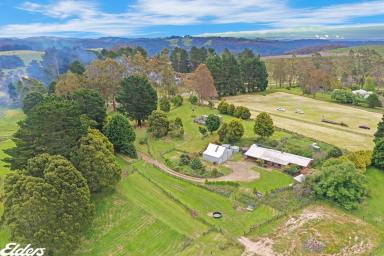 Farm For Sale - VIC - Blackwarry - 3844 - GRAND PANORAMIC VIEWS AND 9 ACRES!  (Image 2)