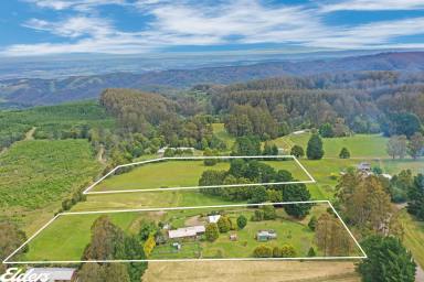 Farm For Sale - VIC - Blackwarry - 3844 - GRAND PANORAMIC VIEWS AND 9 ACRES!  (Image 2)