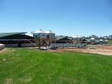 Farm Expressions of Interest - QLD - via Toowoomba - 4350 - Riverbend Pork Group - One of the largest pork producers in Eastern Australia  (Image 2)