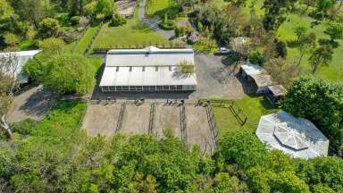 Farm Sold - NSW - Blandford - 2338 - Hunter Valley Horse Stud  (Image 2)