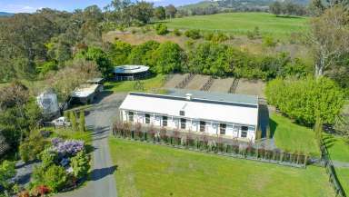 Farm Sold - NSW - Blandford - 2338 - Hunter Valley Horse Stud  (Image 2)