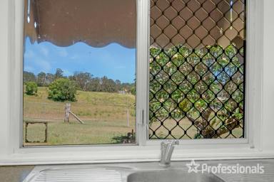 Farm Sold - QLD - Chatsworth - 4570 - Charming Chatsworth Countryside Living  (Image 2)