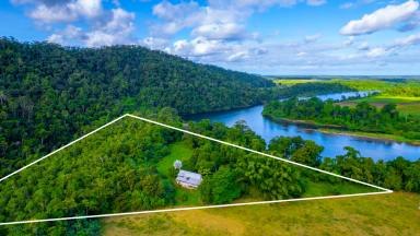 Farm Sold - QLD - Forest Creek - 4873 - Daintree Weekender with Power  (Image 2)