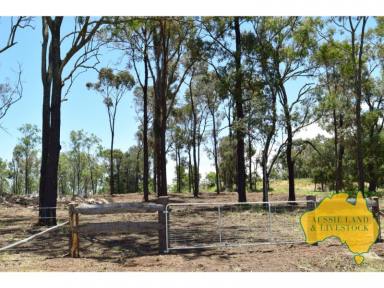 Farm Sold - QLD - Hivesville - 4612 - Quiet country location  (Image 2)